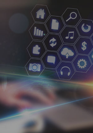 365钱包